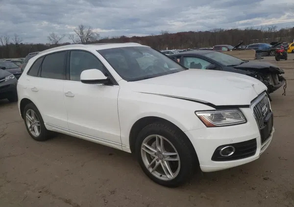 audi kalisz Audi Q5 cena 39000 przebieg: 94269, rok produkcji 2017 z Kalisz